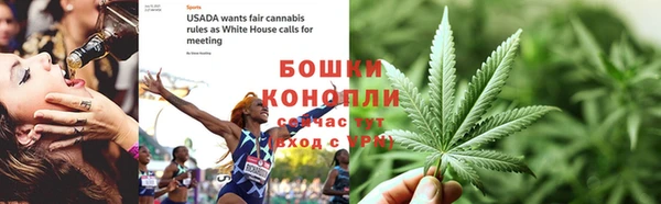 PSILOCYBIN Балабаново