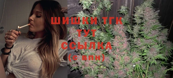 PSILOCYBIN Балабаново