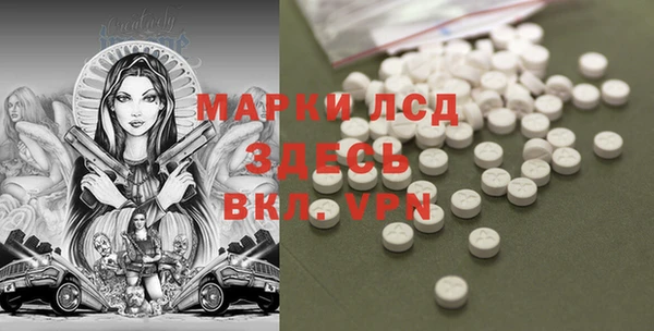 PSILOCYBIN Балабаново