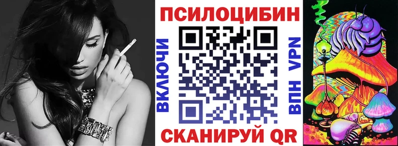 Псилоцибиновые грибы Cubensis  Купить  Ленск 